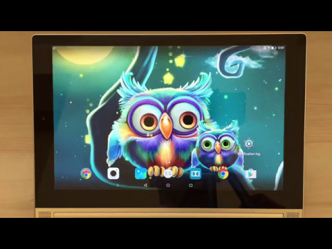 Cute Owls Live Wallpaper