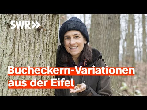 Lecker aufs Land - Es weihnachtet! Bucheckern-Variationen aus der Eifel