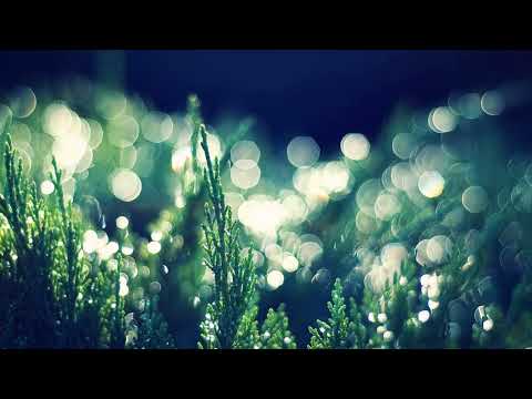 Matteo Gargallo: Inner Truth (Christian Monique Remix)