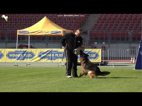 1524 Pro Oxygen d' Ulmental - TSB BSZS-2023