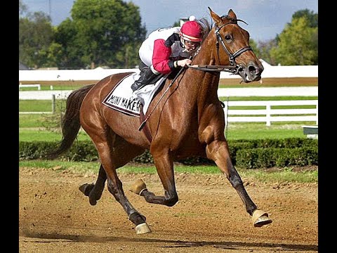 MONI MAKER - A NEW WORLD RECORD  •  WITH JULIE KRONE