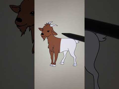 Goat Coloring Shorts