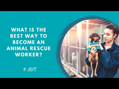 What is the best way to become an Animal Rescue or Shelter Worker
