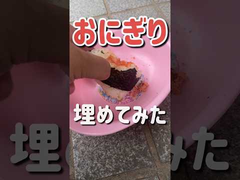 堆肥からミミズを分離するにはどうすればよいですか?簡単な方法  庭園