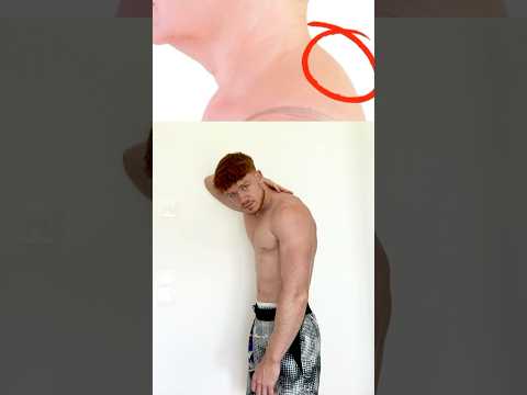 Diese 1 Übung hilft gegen Rundrücken & Buckel! | Haltung verbessern in 10 Sekunden #shorts #posture