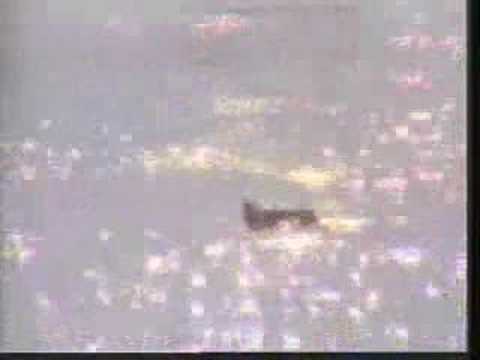 Hippo & Buffalo at Dam 06/05/07