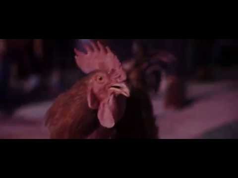 Kapushon feat. Gloria, Victoria Beregoi si DJ Kirumba - Zeama (Official Video)