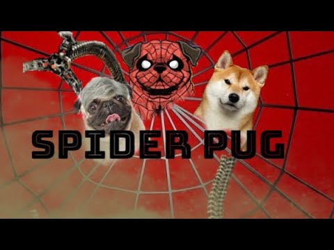 Spider-pug trailer 3