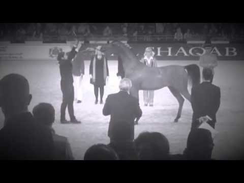 Ghazwan Aljassimya 2014 World Champion Yearling Colt