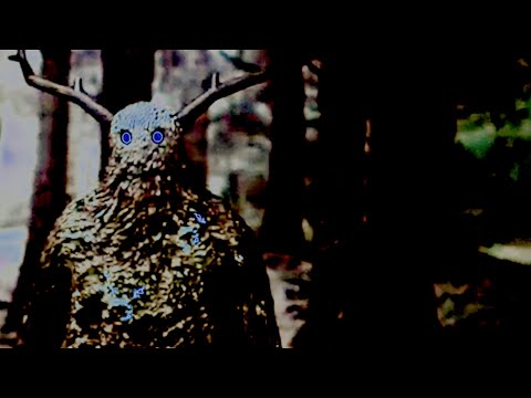 Lemna - Malayan Banyan [DSR/MTS05]