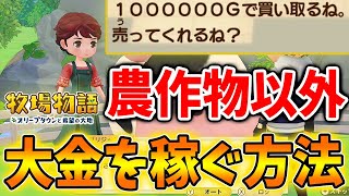 牧場物語 隠しエリアを発見 森の吊り橋 の先には果たして何があるのか 今作の隠し要素は何がある 攻略 オリーブタウンと希望の大地 牧場作り برنامج تنزيل Mp3 الأكثر شعبية على الإنترنت