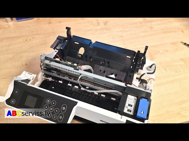 Video 1