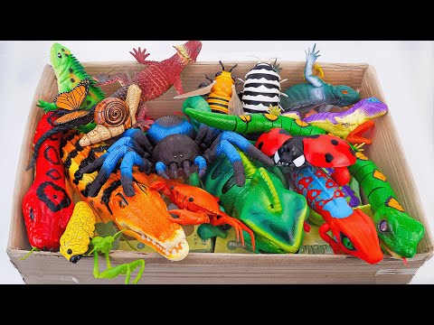 ZURU ROBO ALIVE COLLECTION | UNBOXING Robo Crocodile, RC Chameleon, RC Lizard Compilation ASMR