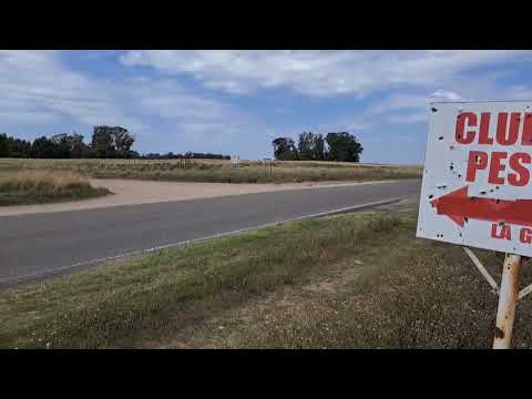 El camino de la sal. A 15 km de Daireaux