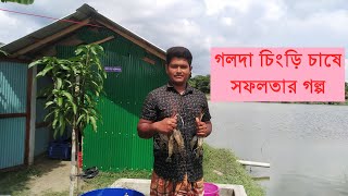 গলদা চিংড়ি চাষে সফলতার গল্প