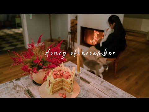 , title : '#88 November Cooking and Daily Life Vlog | Ps: Husband Baked Me a Birthday Cake'