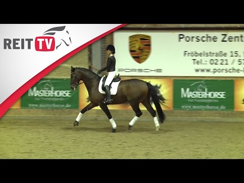 Warm-up & Relaxation - Klaus Balkenhol in Leverkusen Part 2b | The Old Masters