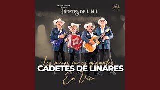 Pepito y Su Caballo (En Vivo)