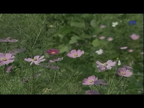 Episode 03 - Asrar W Abahas - Part 1 | الحلقة الثالثة - اسرار وابحاث - الجزء الاول