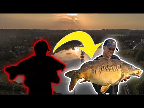 SHOCK!!! Mega growth in carp | QUICK TRIP