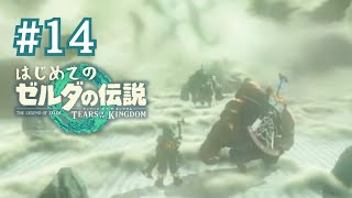 【＃１４】炎の神殿攻略！～はじめてのゼルダの伝説ティアーズオブザキングダム
