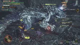 【MHWilds】滋養エキス集めてたらTAみたいになった