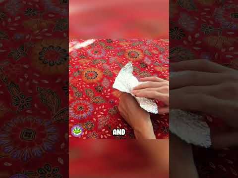 How to make a Homemade Bong for Beginners!