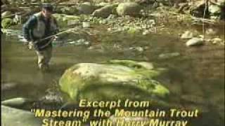 preview picture of video 'Mastering Mountain Trout Streams'