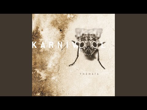 Video thumbnail for Scarabs