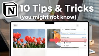 10 Notion Tips & Tricks You Might Not Know (Yet)