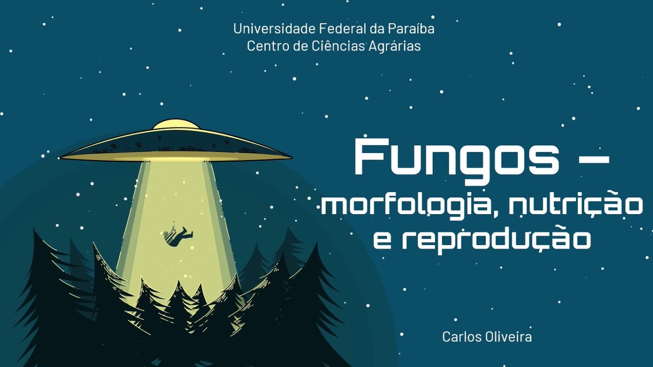 Fungos: Morfologia, reprodução e nutrição