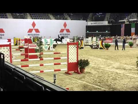 Springpferd Incolor x Gracieux For Sale