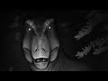 Dinosaurs Sounds