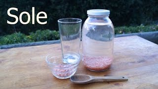 Sole: a great source of daily minerals