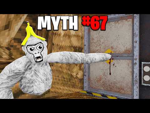 busting 738,472,297 myths in gorilla tag