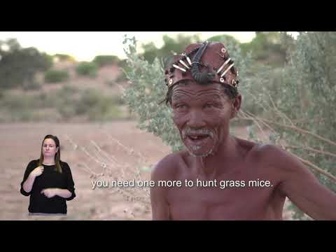 SUID-KALAHARI STORIES