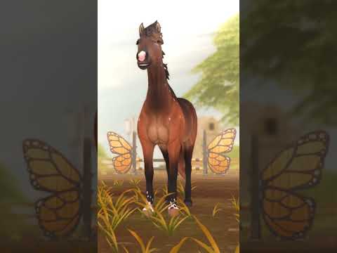 #sso #starstable #starstableonline #лошадки #моялошадь #horse #horsegame #onlinegame #лошади #sso