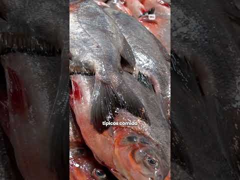 Norte de Santander se alista para Semana Santa: turismo, economía y tradición marcan la temporada