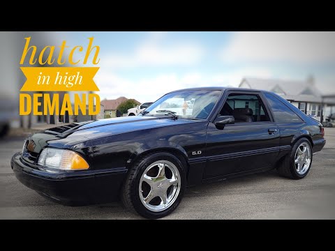 Fox-Body LX Hatch Love! - 1993 Mustang Revamp Project 