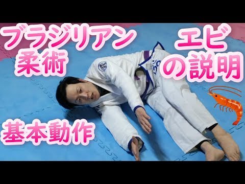 エビ　寝技・ブラジリアン柔術の大切な基本動作　BJJ