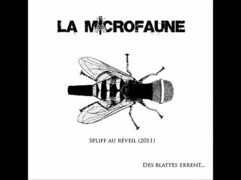Video thumbnail for Spliff au réveil