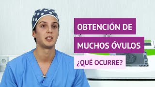 ¿Qué pasa si obtengo muchos óvulos después de la punción folicular