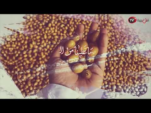 خبّر الريح جديد الشاعر حميد البلوشي