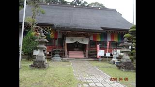 【いすみ市・東頭山 行元寺 散歩 】※2026 年 04月 05日（日）
