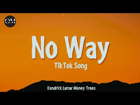 No way TikTok Song - Kendrick Lamar Money Trees