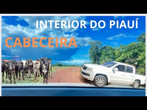 Interior do Piauí-cidade de Cabeceira !@AlexTutoriaisYT