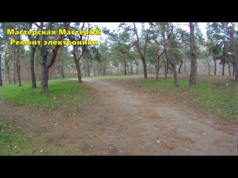 Тест видео новой экшн камеры в пасмурный день с дождем в лесу