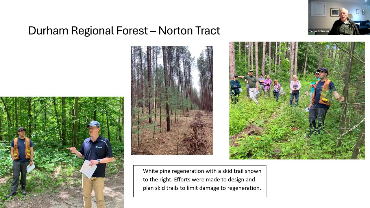  Highlights from Years of Forest History Tours in Southern Ontario