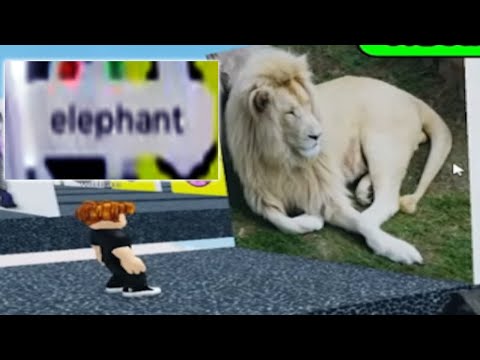 Roblox Players STILL CAN'T SPELL.