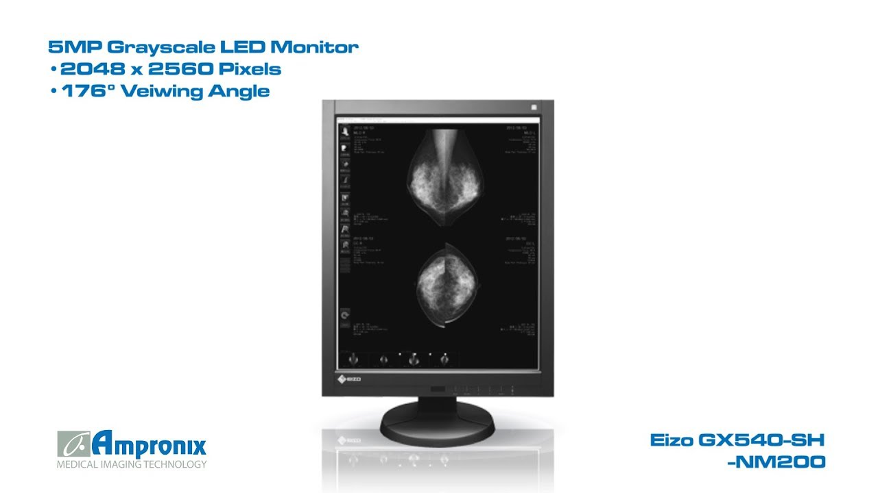 EIZO RadiForce GX540 5MP モノクロ 医用モニター Eizo RadiForce GX560: 5MP Mammo 3D-DBT Monitor